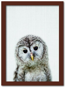 Animal Children series Owl tNE CB 1003BR t[J[FuE TCYFA4 X JtF EW r[ ze @l kar-8238779s3 A[gpl A[g{[h ǎ tB  k