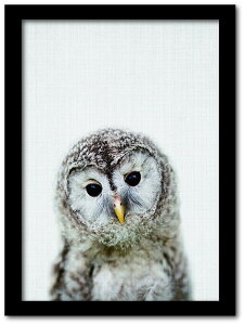 Animal Children series Owl tNE CB 1003BK t[J[FubN TCYFA4 X JtF EW r[ ze @l kar-8238779s4 A[gpl A[g{[h ǎ tB  k