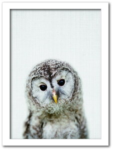 Animal Children series Owl tNE CB 2003WH t[J[FzCg TCYFA3 X JtF EW r[ ze @l kar-8238779s6 A[gpl A[g{[h ǎ tB  k