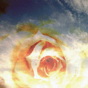 yX[p[Z[ΏۏizԂƋ FLOWER MTCY 30cm×30cm A[gpl t@ubNpl A[g{[h Ǌ| { bsOt X JtF EW r[ ze @l lib-tnk-0003-