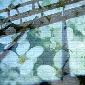 �� �����A�[�g FLOWER M�T�C�Y 30cm×30cm �A�[�g�p�l�� �t�@�u���b�N�p�l�� �A�[�g�{�[�h �Ǌ|�� ���{�� ���b�s���O�t�� �X�� �J�t�F ���E���W ���r�[ �z�e�� �@�l lib-tnk-0007-m �A�[�g�p�l�� �A�[