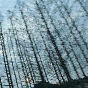 ``V X Yoshiyuki Hata XLTCY 100cm×100cm A[gpl t@ubNpl A[g{[h Ǌ| { bsOt X JtF EW r[ ze @l lib-hat-0009-xl A[gpl 