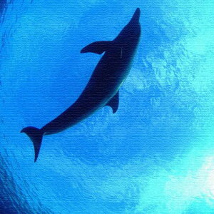 yX[p[Z[Ώۏiz݃J} ނ炢 CJ Sachi Murai XLTCY 100cm×100cm A[gpl t@ubNpl A[g{[h Ǌ| { bsOt X JtF E