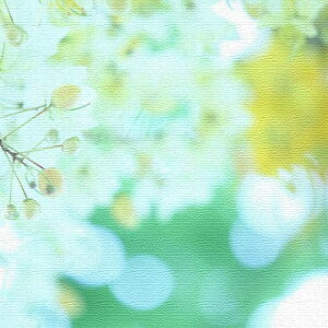 yX[p[Z[Ώۏiz݃J} ނ炢  Sachi Murai MTCY 30cm×30cm A[gpl t@ubNpl A[g{[h Ǌ| { bsOt X JtF EW 