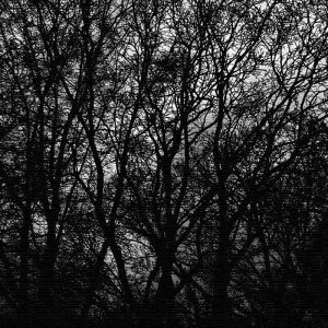 cruce co. N[`FEAhER[ MTCY 30cm×30cm A[gpl t@ubNpl A[g{[h Ǌ| { bsOt X JtF EW r[ ze @l lib-cru-0017-m A[