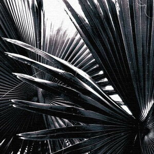 cruce co. N[`FEAhER[ XLTCY 100cm×100cm A[gpl t@ubNpl A[g{[h Ǌ| { bsOt X JtF EW r[ ze @l lib-cru-0011-xl A