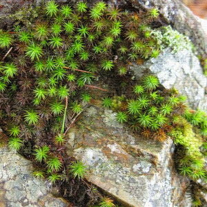 風景写真 PHOTO Mサイズ 30cm×30cm アートパネル ファブリックパネル アートボード 壁掛け 日本製 ラッピング付き 店舗 カフェ ラウンジ ロビー ホテル 法人 lib-rsb-0001-m アートパネル アートボー