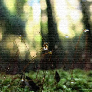 iʐ^ PHOTO MTCY 30cm×30cm A[gpl t@ubNpl A[g{[h Ǌ| { bsOt X JtF EW r[ ze @l lib-rsb-0005-m A[gpl A[g{[