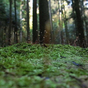 iʐ^ PHOTO MTCY 30cm×30cm A[gpl t@ubNpl A[g{[h Ǌ| { bsOt X JtF EW r[ ze @l lib-rsb-0006-m A[gpl A[g{[