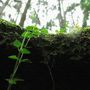 風景写真 PHOTO Mサイズ 30cm×30cm アートパネル ファブリックパネル アートボード 壁掛け 日本製 ラッピング付き 店舗 カフェ ラウンジ ロビー ホテル 法人 lib-rsb-0008-m アートパネル アートボー