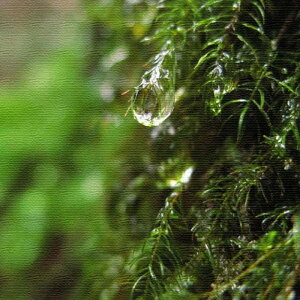 iʐ^ PHOTO MTCY 30cm×30cm A[gpl t@ubNpl A[g{[h Ǌ| { bsOt X JtF EW r[ ze @l lib-rsb-0014-m A[gpl A[g{[