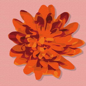 ԃ`[t FLOWER LTCY 57cm×57cm A[gpl t@ubNpl A[g{[h Ǌ| { bsOt X JtF EW r[ ze @l lib-pop-0031-pk-l A[gpl A[g