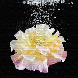 �� FLOWER L�T�C�Y 57cm×57cm �A�[�g�p�l�� �t�@�u���b�N�p�l�� �A�[�g�{�[�h �Ǌ|�� ���{�� ���b�s���O�t�� �X�� �J�t�F ���E���W ���r�[ �z�e�� �@�l lib-pho-0082-l �A�[�g�p�l�� �A�[�g�{�[�h ��