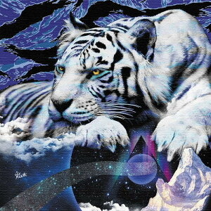 Galaxy Graphics ket-0005 MTCY 30cm×30cm A[gpl t@ubNpl A[g{[h Ǌ| { bsOt X JtF EW r[ ze @l lib-ket-0005-m A[gpl A[g