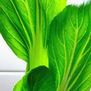 ��� ���`�[�t VEGETABLE FRUIT L�T�C�Y 57cm×57cm �A�[�g�p�l�� �t�@�u���b�N�p�l�� �A�[�g�{�[�h �Ǌ|�� ���{�� ���b�s���O�t�� �X�� �J�t�F ���E���W ���r�[ �z�e�� �@�l lib-pho-0002-l �A�[�g�p�l��