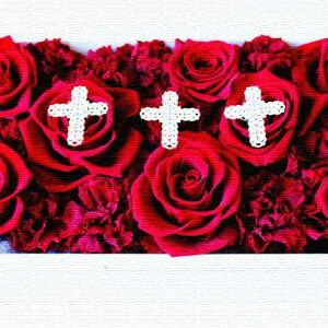 �o�� FLOWER M�T�C�Y 30cm×30cm �A�[�g�p�l�� �t�@�u���b�N�p�l�� �A�[�g�{�[�h �Ǌ|�� ���{�� ���b�s���O�t�� �X�� �J�t�F ���E���W ���r�[ �z�e�� �@�l lib-pho-0015-m �A�[�g�p�l�� �A�[�g�{�[�h 