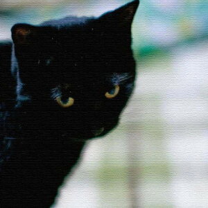 L ANIMAL STCY 15cm×15cm A[gpl t@ubNpl A[g{[h Ǌ| { bsOt X JtF EW r[ ze @l lib-pho-0030-s A[gpl A[g{[h 