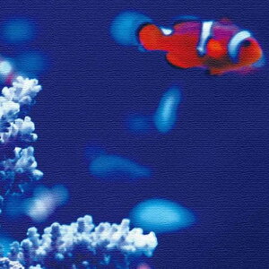 �J�N���N�}�m�~ FISH L�T�C�Y 57cm×57cm �A�[�g�p�l�� �t�@�u���b�N�p�l�� �A�[�g�{�[�h �Ǌ|�� ���{�� ���b�s���O�t�� �X�� �J�t�F ���E���W ���r�[ �z�e�� �@�l lib-pho-0032-l �A�[�g�p�l�� �A�[