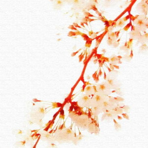 yX[p[Z[Ώۏiz FLOWER MTCY 30cm×30cm A[gpl t@ubNpl A[g{[h Ǌ| { bsOt X JtF EW r[ ze @l lib-pho-0045-m A