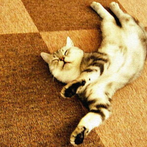 L ANIMAL XLTCY 100cm×100cm A[gpl t@ubNpl A[g{[h Ǌ| { bsOt X JtF EW r[ ze @l lib-pho-0049-xl A[gpl A[g{[h 