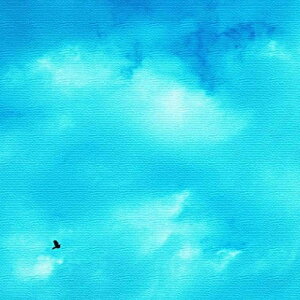 yX[p[Z[Ώۏiz PHOTO STCY 15cm×15cm A[gpl t@ubNpl A[g{[h Ǌ| { bsOt X JtF EW r[ ze @l lib-pho-0050-s