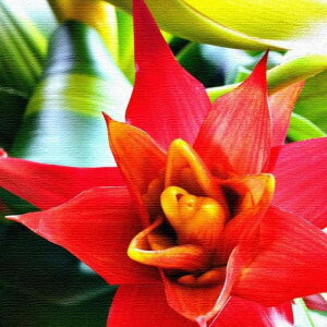 ԃ`[t FLOWER XLTCY 100cm×100cm A[gpl t@ubNpl A[g{[h Ǌ| { bsOt X JtF EW r[ ze @l lib-pho-0058-xl A[gpl A[