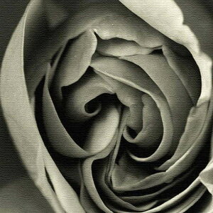 �o�� ���`�[�t FLOWER XL�T�C�Y 100cm×100cm �A�[�g�p�l�� �t�@�u���b�N�p�l�� �A�[�g�{�[�h �Ǌ|�� ���{�� ���b�s���O�t�� �X�� �J�t�F ���E���W ���r�[ �z�e�� �@�l lib-pho-0062-xl �A�[�g�p�l�� �A