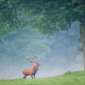 �V�J���`�[�t ANIMAL S�T�C�Y 15cm×15cm �A�[�g�p�l�� �t�@�u���b�N�p�l�� �A�[�g�{�[�h �Ǌ|�� ���{�� ���b�s���O�t�� �X�� �J�t�F ���E���W ���r�[ �z�e�� �@�l lib-pho-0070-s �A�[�g�p�l�� �A�[�g