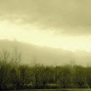 X ʐ^ PHOTO MTCY 30cm×30cm A[gpl t@ubNpl A[g{[h Ǌ| { bsOt X JtF EW r[ ze @l lib-pho-0072-l-m A[gpl A[g{[