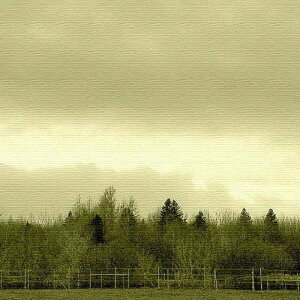 X ʐ^ PHOTO MTCY 30cm×30cm A[gpl t@ubNpl A[g{[h Ǌ| { bsOt X JtF EW r[ ze @l lib-pho-0072-r-m A[gpl A[g{[