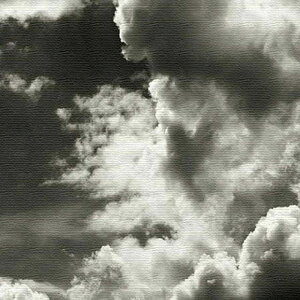  ʐ^ PHOTO LTCY 57cm×57cm A[gpl t@ubNpl A[g{[h Ǌ| { bsOt X JtF EW r[ ze @l lib-pho-0073-r-l A[gpl A[g{[