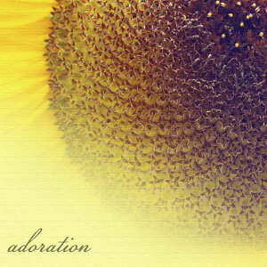 �Ђ܂�� �A�[�g pho-0086 S�T�C�Y 15cm×15cm �A�[�g�p�l�� �t�@�u���b�N�p�l�� �A�[�g�{�[�h �Ǌ|�� ���{�� ���b�s���O�t�� �X�� �J�t�F ���E���W ���r�[ �z�e�� �@�l lib-pho-0086-s �A�[�g�p�l�� �A