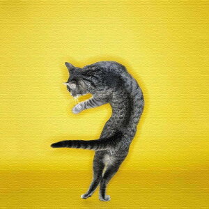 L MTCY 30cm×30cm A[gpl t@ubNpl A[g{[h Ǌ| { bsOt X JtF EW r[ ze @l lib-pho-0102-m A[gpl A[g{[h ǎ 