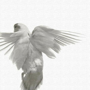 �� pho-0111 S�T�C�Y 15cm×15cm �A�[�g�p�l�� �t�@�u���b�N�p�l�� �A�[�g�{�[�h �Ǌ|�� ���{�� ���b�s���O�t�� �X�� �J�t�F ���E���W ���r�[ �z�e�� �@�l lib-pho-0111-s �A�[�g�p�l�� �A�[�g�{�[�h ��