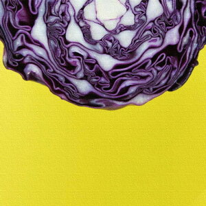 _A[g  phot-1812-002 STCY 15cm×15cm A[gpl t@ubNpl A[g{[h Ǌ| { bsOt X JtF EW r[ ze @l lib-phot-1812-002-s A[g