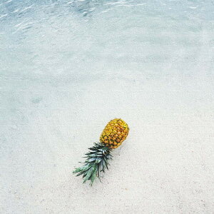 pCibv poht-1805-42 LTCY 57cm×57cm A[gpl t@ubNpl A[g{[h Ǌ| { bsOt X JtF EW r[ ze @l lib-poht-1805-42-l A[gpl