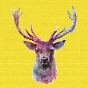 |bvA[g pop-1610-007 XLTCY 100cm×100cm A[gpl t@ubNpl A[g{[h Ǌ| { bsOt X JtF EW r[ ze @l lib-pop-1610-007-xl A[gp