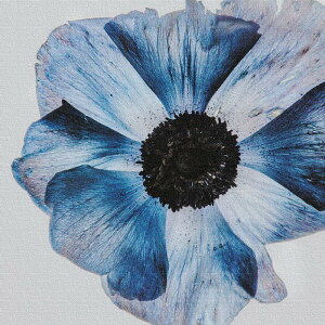 �� popa-1805-02 L�T�C�Y 57cm×57cm �A�[�g�p�l�� �t�@�u���b�N�p�l�� �A�[�g�{�[�h �Ǌ|�� ���{�� ���b�s���O�t�� �X�� �J�t�F ���E���W ���r�[ �z�e�� �@�l lib-popa-1805-02-l �A�[�g�p�l�� �A�[�g�{