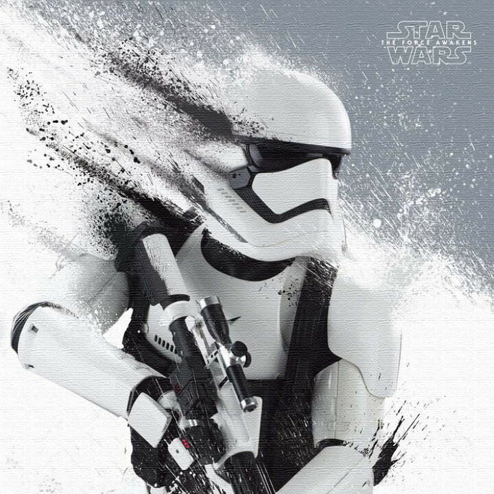 楽天市場】スターウォーズ ストームトルーパー STAR WARS アートパネル 