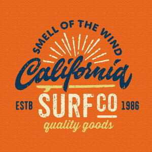 yX[p[Z[ΏۏizC A[g typ-0035 MTCY 30cm×30cm A[gpl t@ubNpl A[g{[h Ǌ| { bsOt X JtF EW r[ ze @l l