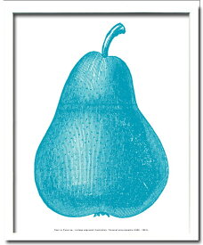 アートフレーム 洋ナシ Pear Blue IPF-52889 bic-8518094s1 アートパネル アートボード 壁紙 装飾フィルム 北欧 モダン 家具 インテリア ナチュラル テイスト 新生活 オススメ おしゃれ
