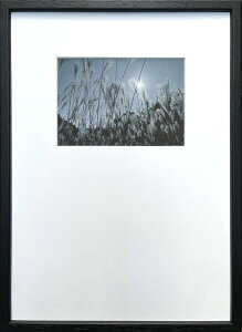 Photography art Susuki 275x382x20mm IPG-53253 bic-10872395s1 �A�[�g�p�l�� �A�[�g�{�[�h �ǎ� �����t�B���� �������� �k�� ���_�� �Ƌ� �C���e���A �i�`������ �e�C�X�g �V���� �I�X�X�� ������� �㕥��