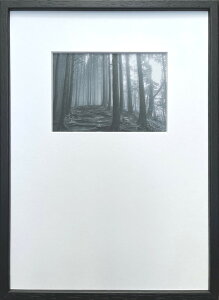 Photography art Forast �X 275x382x20mm IPG-53264 bic-10872406s1 �A�[�g�p�l�� �A�[�g�{�[�h �ǎ� �����t�B���� �������� �k�� ���_�� �Ƌ� �C���e���A �i�`������ �e�C�X�g �V���� �I�X�X�� ������� �㕥��