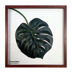 �C���e���A�O���[���A�[�g ForestDecoL Monstera Deliciosa2 LP-1002 �t���[���J���[ �u���E�� �X�� �J�t�F ���E���W ���r�[ �z�e�� �@�l kar-9326783s1 �A�[�g�p�l�� �A�[�g�{�[�h �ǎ� �����t�B���� ������