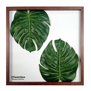 �C���e���A�O���[���A�[�g ForestDecoL Monstera Deliciosa5 LP-1005 �t���[���J���[ �u���E�� �X�� �J�t�F ���E���W ���r�[ �z�e�� �@�l kar-9326787s1 �A�[�g�p�l�� �A�[�g�{�[�h �ǎ� �����t�B���� ������