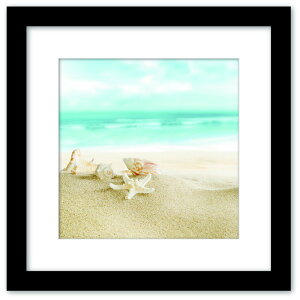 A[gRNV zCgAhu[ nC V[Y WB-1008BK-S t[J[FubN STCY X JtF EW r[ ze @l kar-9526276s4 A[gpl A[g{[h 