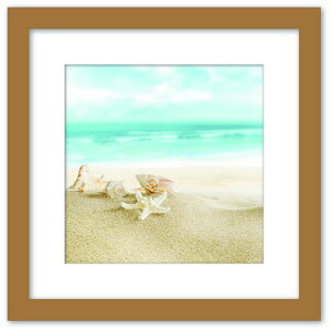 yX[p[Z[ΏۏizA[gRNV zCgAhu[ nC V[Y WB-1008NA-M t[J[Fi` MTCY X JtF EW r[ ze @l kar-9526276s6