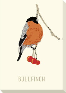 �L�����o�X�A�[�g North Birds Mini Panel Bullfinch 150x210x32mm 150x210x32mm ZPA-53450 bic-11171145s1 �A�[�g�p�l�� �A�[�g�{�[�h �ǎ� �����t�B���� �������� �k�� ���_�� �Ƌ� �C���e���A �i�`������ �e�C�X�g 