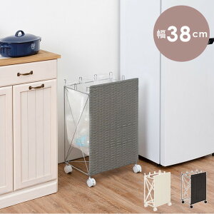 ʂݔbN RUD-2423 38×s28×60.5cm hgs-2101973700 S~  k _ Ƌ CeA i` eCXg V IXX  㕥