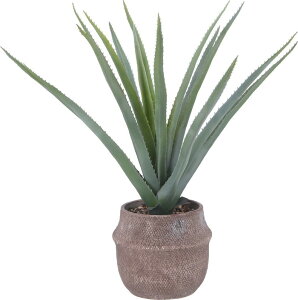 tFCNO[ AG M Zg|bg O[ 700×s750×750mm fj-41136 lHϗtA  lHϗtA  ϗtA K[f DIY  k _ Ƌ CeA i`